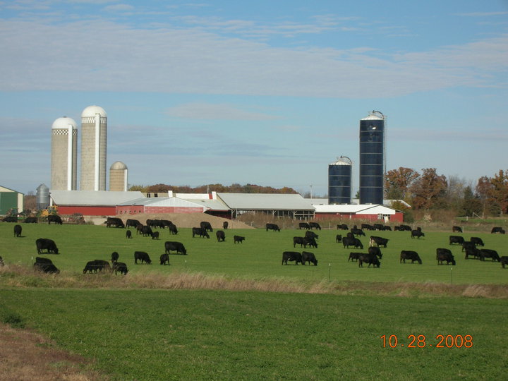 Think Green GLCountry