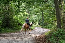 horseback riding on trail